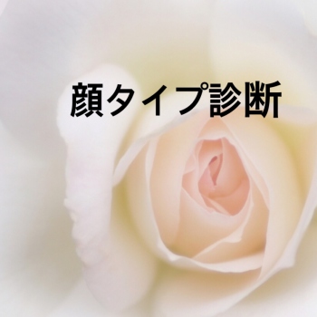 新しい発見ができました