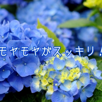 モヤモヤがスッキリ